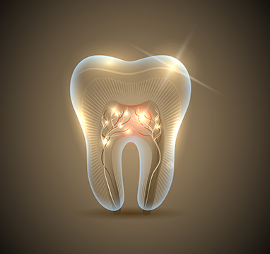 SW Calgary Root Canal Therapy | Wentworth Family Dental | General & Family Dentist | SW Calgary